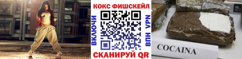 Cocaine Fish Scale Купить закладки Михайлов