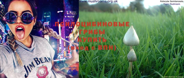 прущая мука Зеленокумск