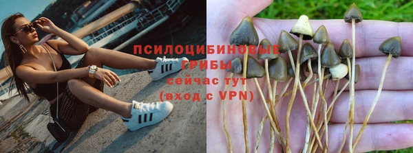 прущая мука Зеленокумск